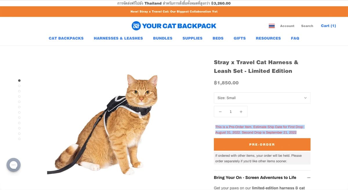 Stray x Travel Cat Harness & Leash Set - Limited Edition