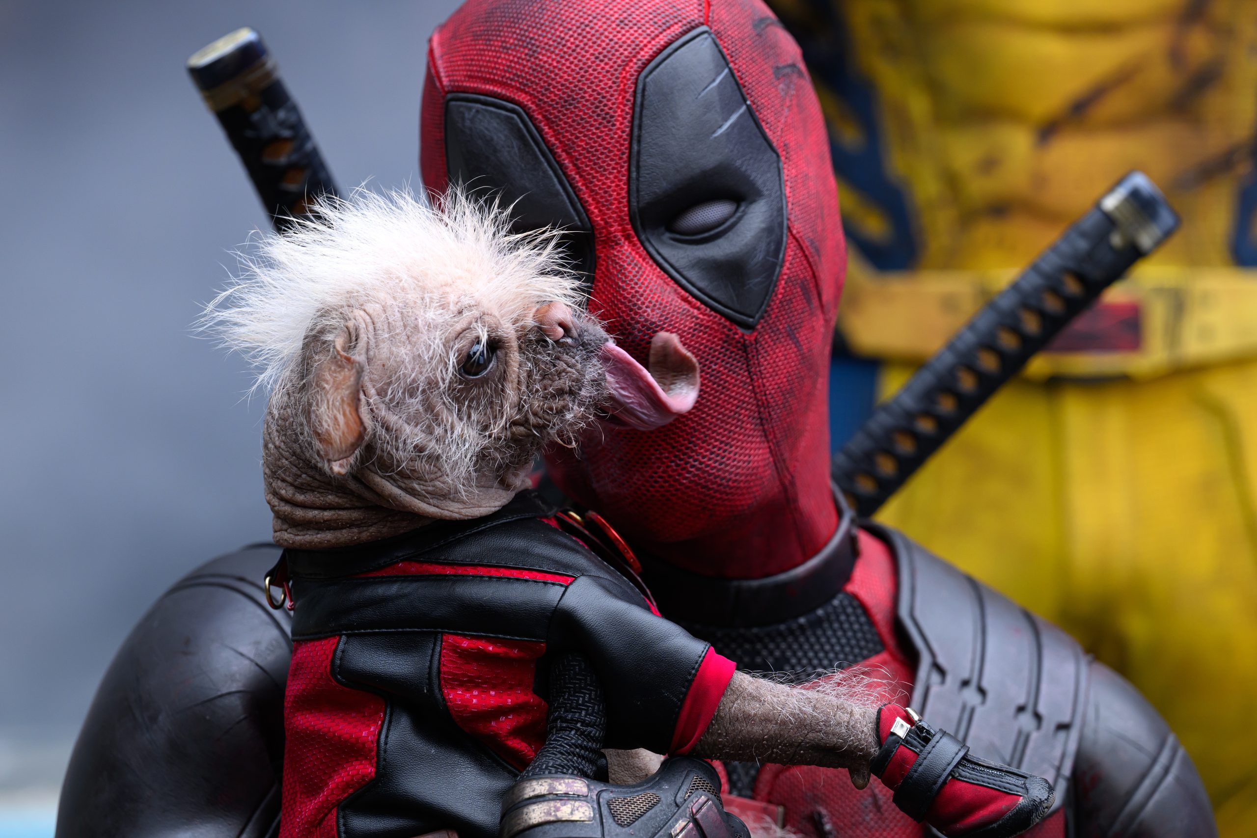 รีวิว Deadpool & Wolverine